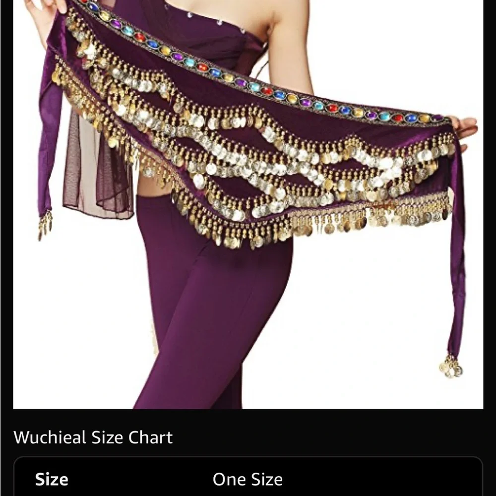 Purple and Gold Belly Dance Hip Scarf